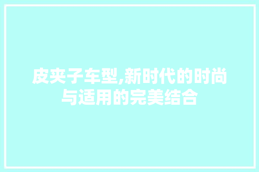 皮夹子车型,新时代的时尚与适用的完美结合