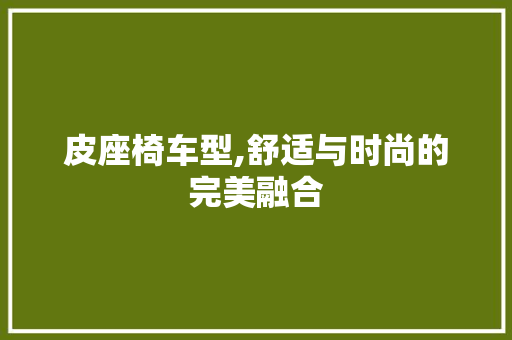 皮座椅车型,舒适与时尚的完美融合
