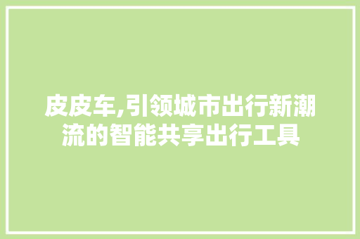 皮皮车,引领城市出行新潮流的智能共享出行工具