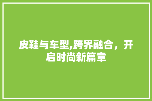 皮鞋与车型,跨界融合，开启时尚新篇章
