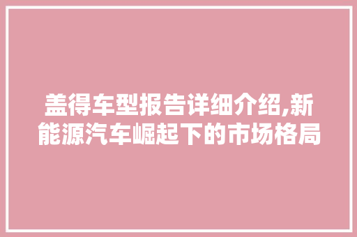 盖得车型报告详细介绍,新能源汽车崛起下的市场格局与未来趋势