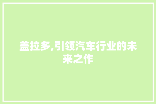 盖拉多,引领汽车行业的未来之作