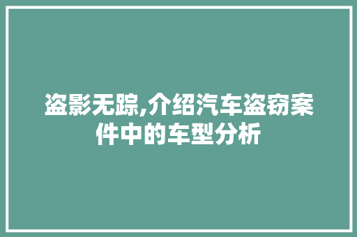 盗影无踪,介绍汽车盗窃案件中的车型分析