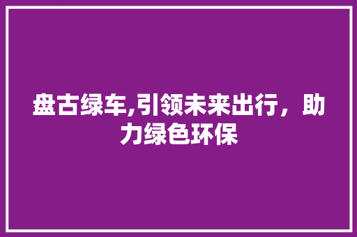 盘古绿车,引领未来出行，助力绿色环保