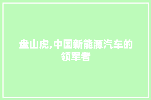 盘山虎,中国新能源汽车的领军者