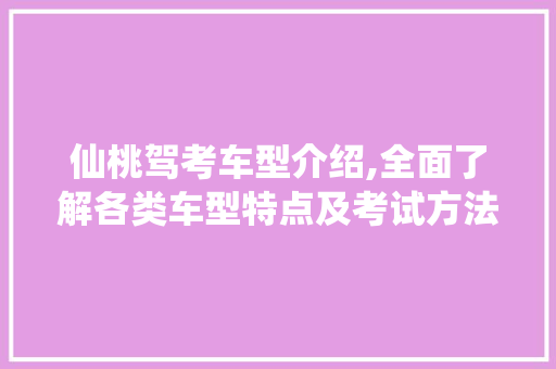 仙桃驾考车型介绍,全面了解各类车型特点及考试方法