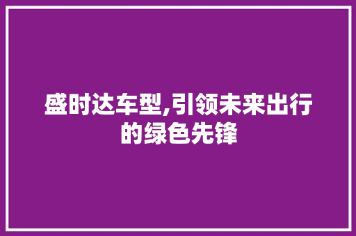 盛时达车型,引领未来出行的绿色先锋