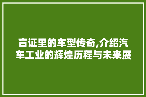 盲证里的车型传奇,介绍汽车工业的辉煌历程与未来展望