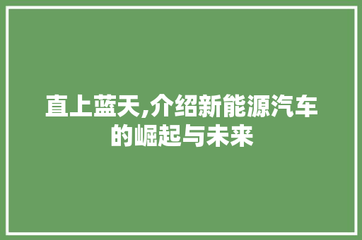 直上蓝天,介绍新能源汽车的崛起与未来