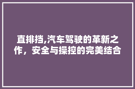 直排挡,汽车驾驶的革新之作，安全与操控的完美结合