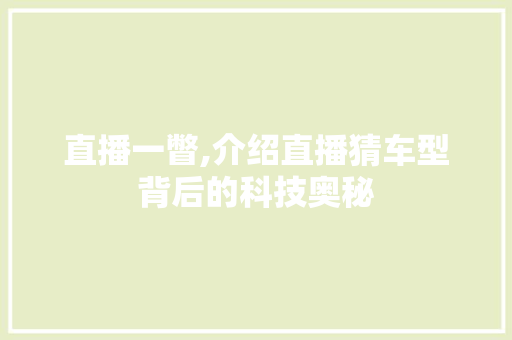 直播一瞥,介绍直播猜车型背后的科技奥秘