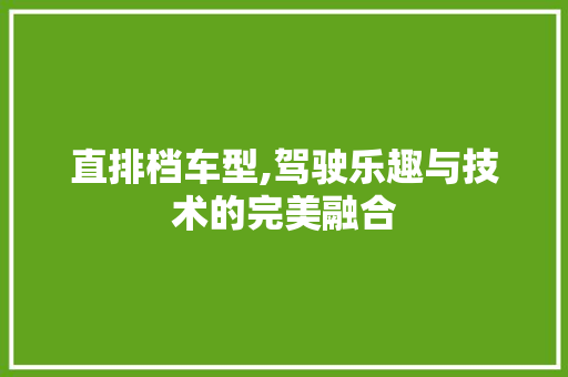 直排档车型,驾驶乐趣与技术的完美融合