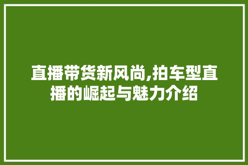 直播带货新风尚,拍车型直播的崛起与魅力介绍