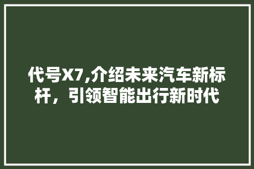 代号X7,介绍未来汽车新标杆，引领智能出行新时代