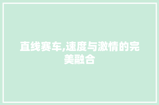 直线赛车,速度与激情的完美融合