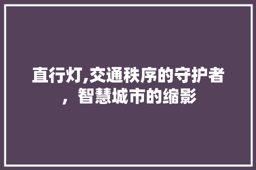 直行灯,交通秩序的守护者，智慧城市的缩影