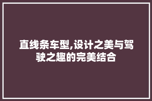 直线条车型,设计之美与驾驶之趣的完美结合