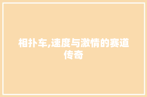 相扑车,速度与激情的赛道传奇