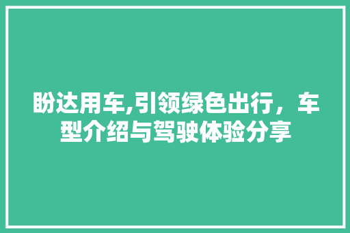 盼达用车,引领绿色出行，车型介绍与驾驶体验分享