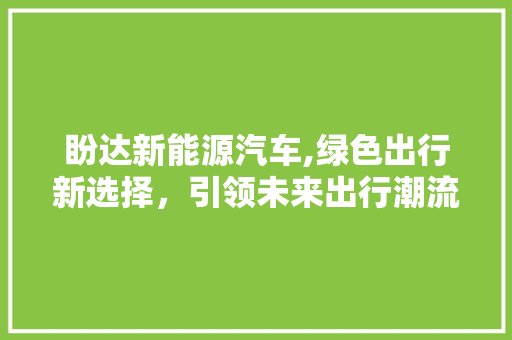 盼达新能源汽车,绿色出行新选择，引领未来出行潮流
