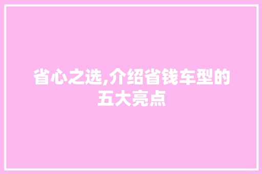 省心之选,介绍省钱车型的五大亮点