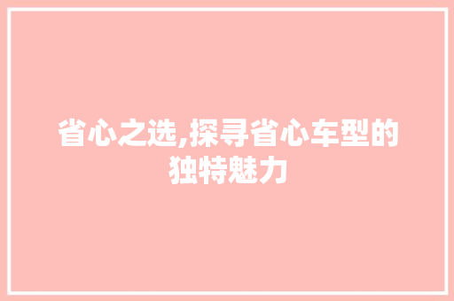 省心之选,探寻省心车型的独特魅力