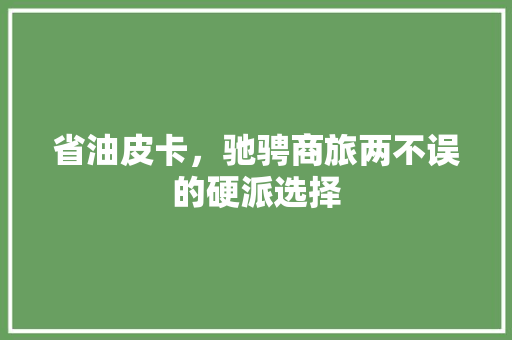 省油皮卡，驰骋商旅两不误的硬派选择