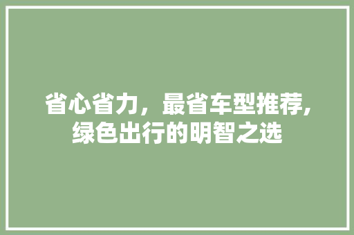 省心省力，最省车型推荐,绿色出行的明智之选