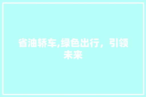 省油轿车,绿色出行，引领未来