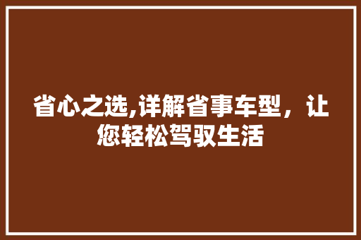 省心之选,详解省事车型，让您轻松驾驭生活