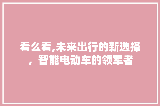 看么看,未来出行的新选择，智能电动车的领军者