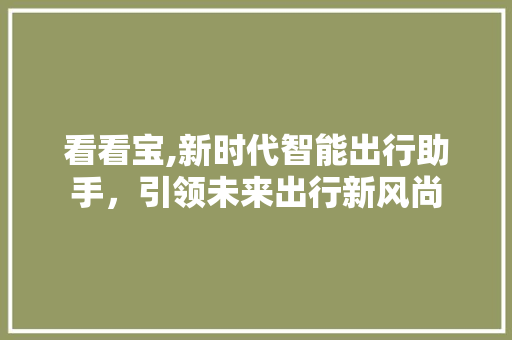 看看宝,新时代智能出行助手，引领未来出行新风尚