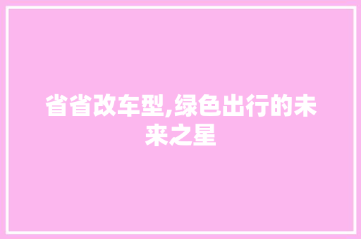 省省改车型,绿色出行的未来之星