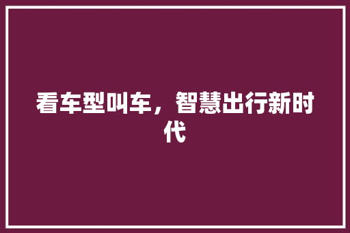 看车型叫车，智慧出行新时代