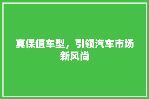 真保值车型，引领汽车市场新风尚