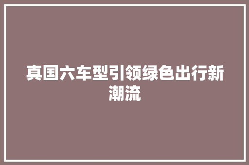 真国六车型引领绿色出行新潮流