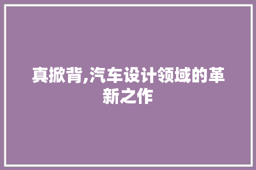 真掀背,汽车设计领域的革新之作