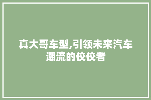 真大哥车型,引领未来汽车潮流的佼佼者