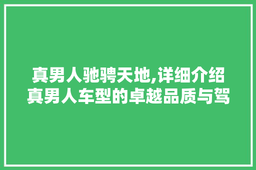真男人驰骋天地,详细介绍真男人车型的卓越品质与驾驶体验