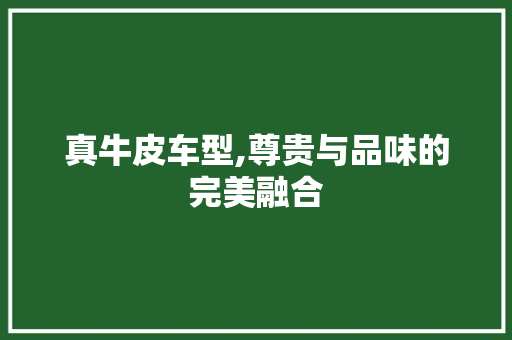 真牛皮车型,尊贵与品味的完美融合