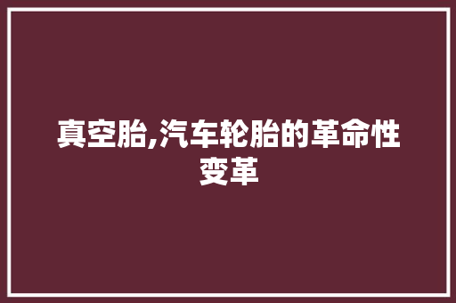 真空胎,汽车轮胎的革命性变革