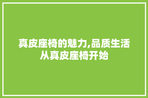 真皮座椅的魅力,品质生活从真皮座椅开始