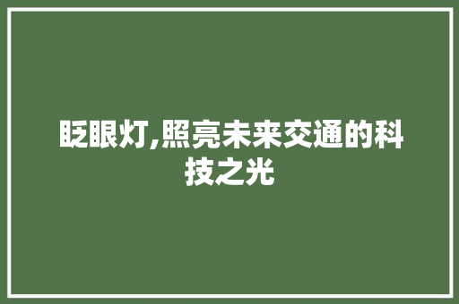 眨眼灯,照亮未来交通的科技之光