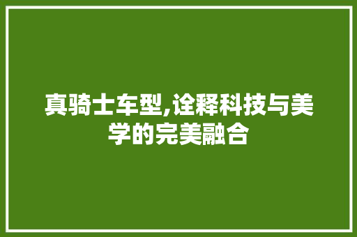真骑士车型,诠释科技与美学的完美融合