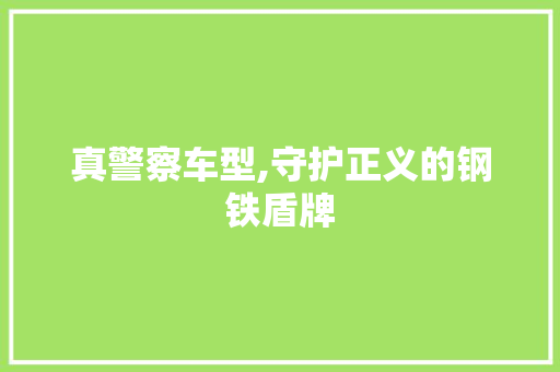 真警察车型,守护正义的钢铁盾牌