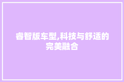 睿智版车型,科技与舒适的完美融合