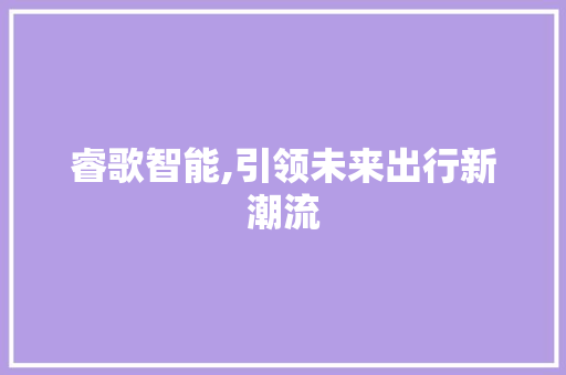 睿歌智能,引领未来出行新潮流