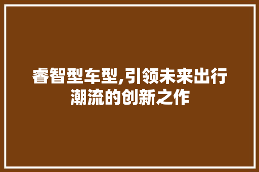 睿智型车型,引领未来出行潮流的创新之作