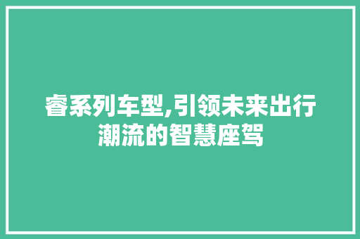 睿系列车型,引领未来出行潮流的智慧座驾