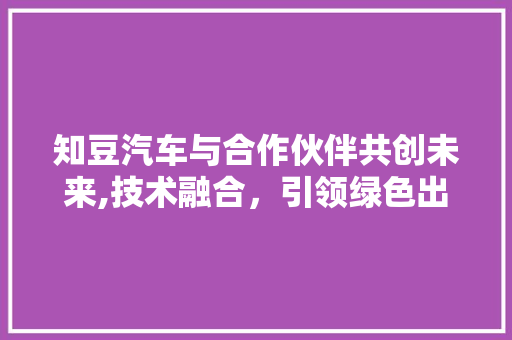知豆汽车与合作伙伴共创未来,技术融合，引领绿色出行新潮流